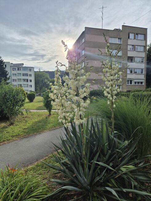 Polanica Zdrój Centrum