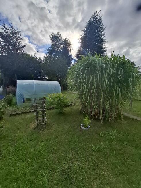 Działka ROD Niekłonice