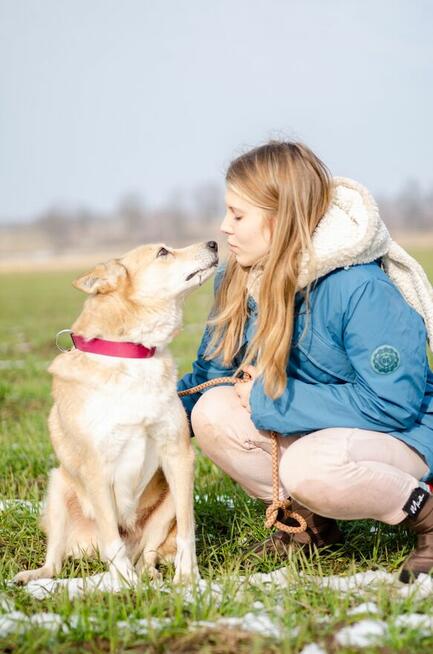 Elza - pies anioł, kochana, łagodna sunia