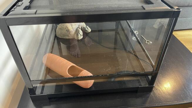 Sprzedam terrarium 40x80x32