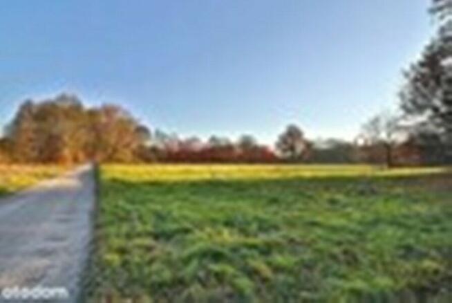 Oferta na pensjonat dla koni…