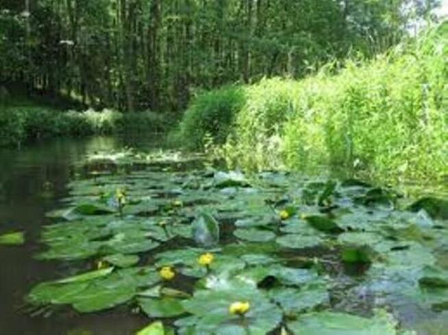 Oferta na pensjonat dla koni…