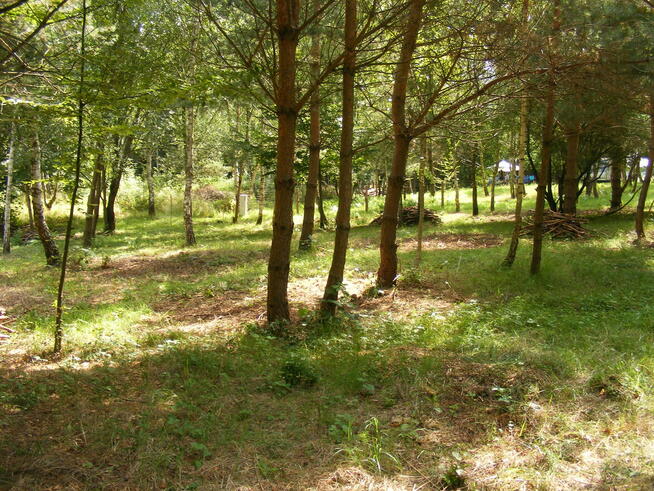 Sprzedam działki rekreacyjno - letniskowe