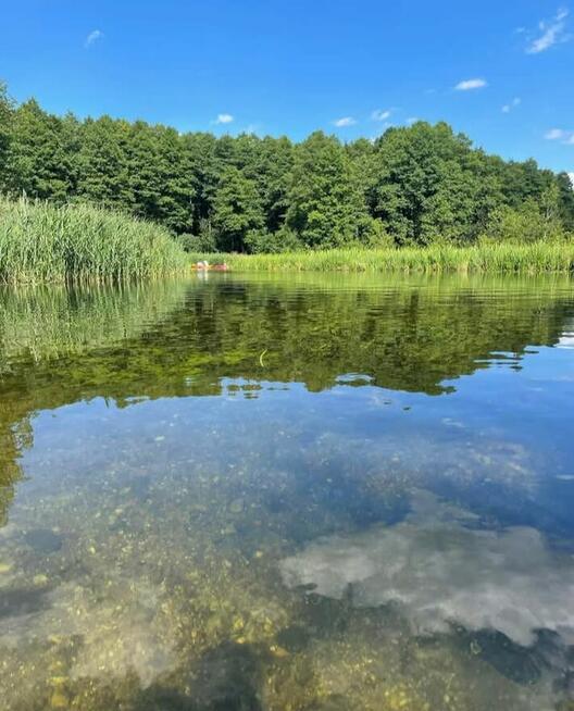 Domki letniskowe nad rzeką krutynia