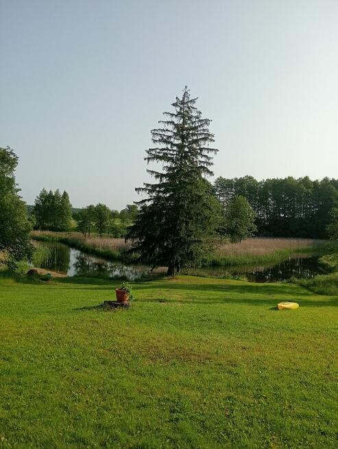 Domki letniskowe nad rzeką krutynia