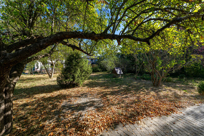 DZIAŁKA 1046 M2 Z DOMEM – URSYNÓW, GAWOTA