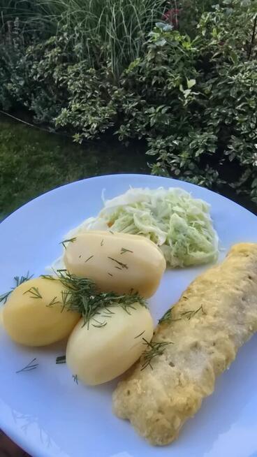 Farina Catering – Catering i Warsztaty