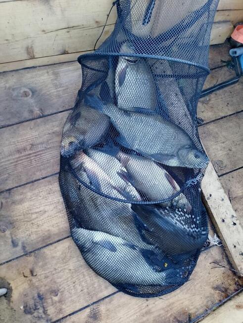 Agroturystyka z linią brzegową dom pokoje domki