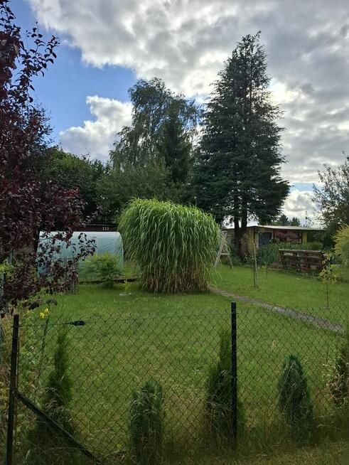 Działka ROD Niekłonice