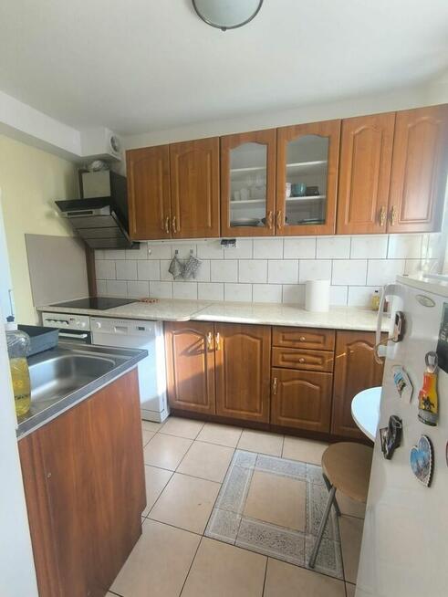 Mam ładną, spokojną i zdrową kawalerkę do wynajęcia