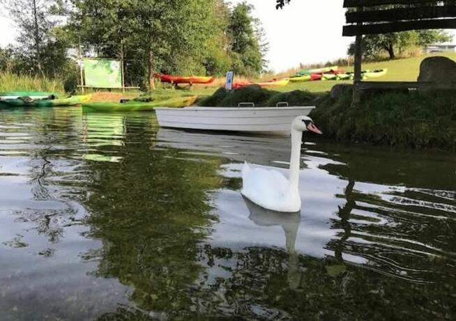 Domki letniskowe nad rzeką krutynia