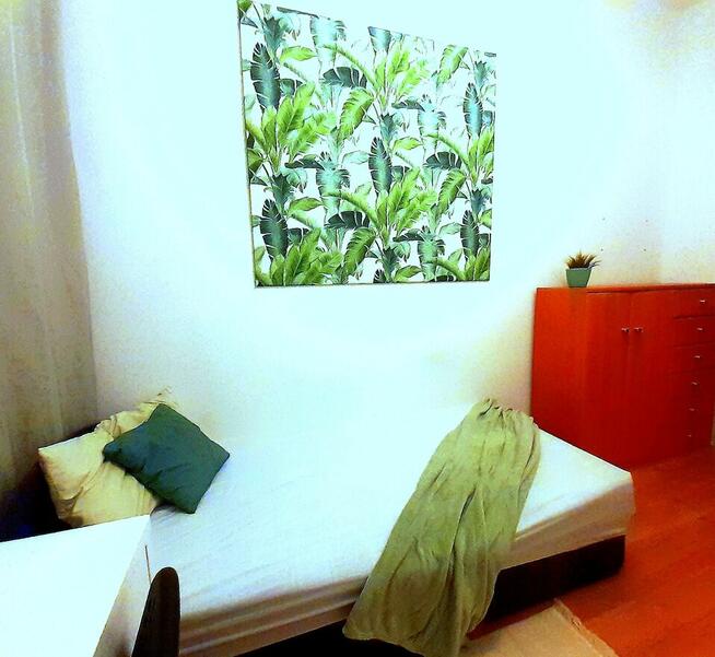 Słoneczny pokój jednoosobowy dla dziewczyny. Ul. Lotnicza 4