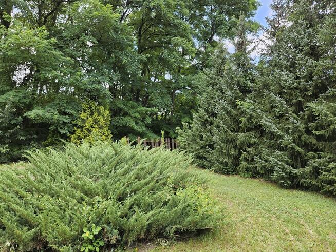 Działka budowlana 1798 m² + domek gospodarczy 37 m²