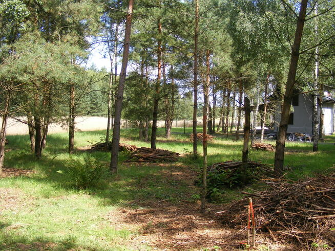 Sprzedam działki rekreacyjno - letniskowe