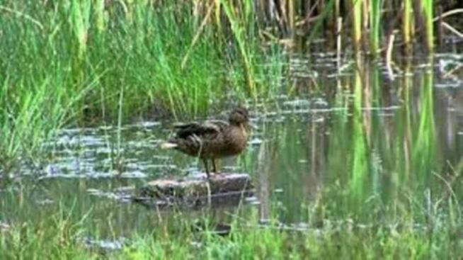 Oferta na pensjonat dla koni…