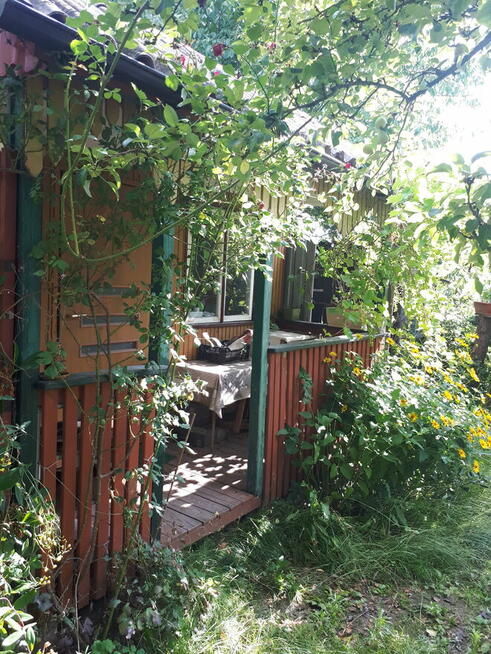 Działka ROD Altana Wyszków