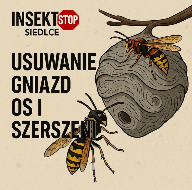 Masz insekty które zakłócają Ci życie?