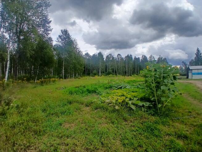 Dom-siedlisko na sprzedaż