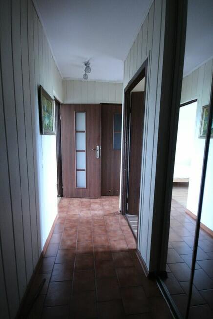 2pok 47met, ok. Drzewieckiego BALKON/PIWNICA/WINDA (Wrocław)