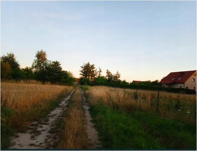 Działka budowlana 17 arów Brzeg Dolny Wołów 50 zł m2