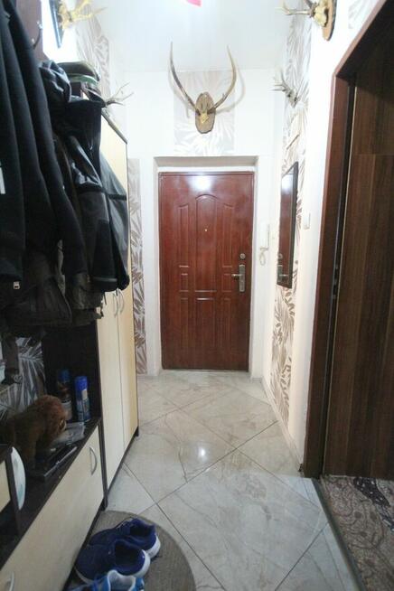 3pok 54met, ok. Paczkowskiej PEŁEN ROZKŁAD/PIWNICA (Wrocław)