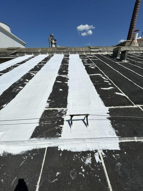 Alpi.one Usługi alpinistyczne