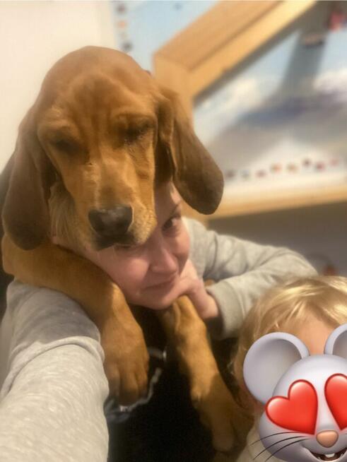 Niania do dziecka( opieka popoludnowa ,dorywcza, weekendowa)