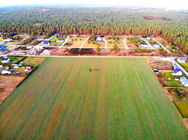 Działka Charzyno gm. Siemyśl