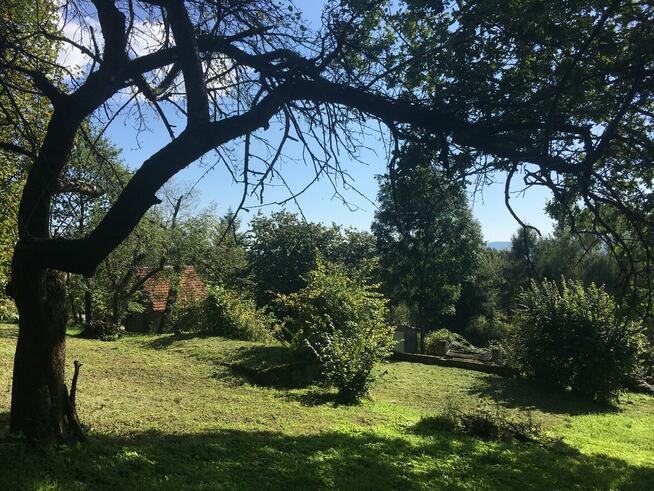 Działka budowlana 9 (19) a piękne otoczenie ul Widokowa 24