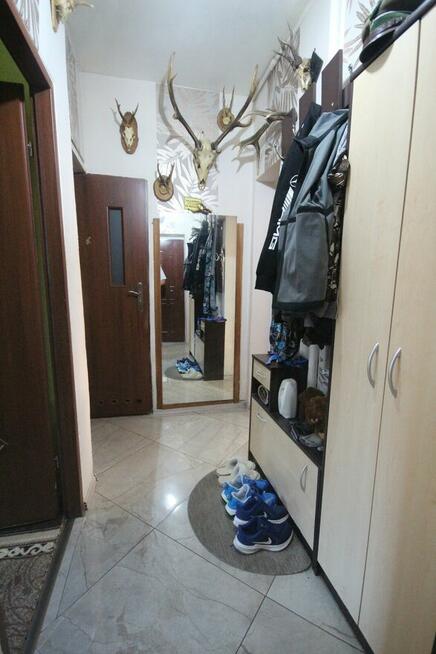 3pok 54met, ok. Paczkowskiej PEŁEN ROZKŁAD/PIWNICA (Wrocław)