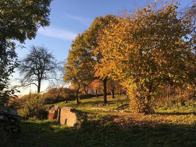 Działka budowlana 9 (19) a piękne otoczenie ul Widokowa 24