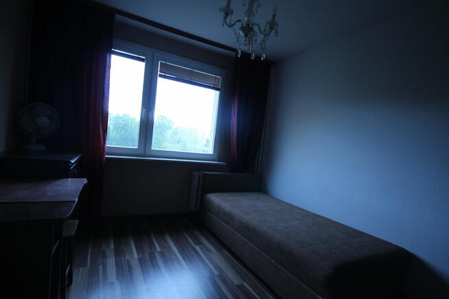 2pok 47met, ok. Drzewieckiego BALKON/PIWNICA/WINDA (Wrocław)