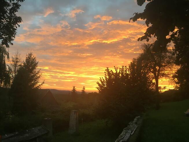 Działka budowlana 9 (19) a piękne otoczenie ul Widokowa 24