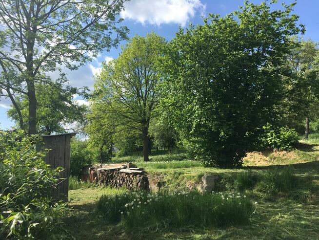 Działka budowlana 9 (19) a piękne otoczenie ul Widokowa 24