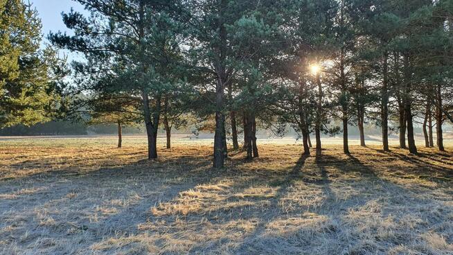 Działki nad rzeką – inwestycja/wypoczynek, Bałtów, Jura Park