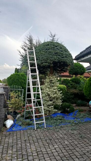 Pielęgnacja ogrodów