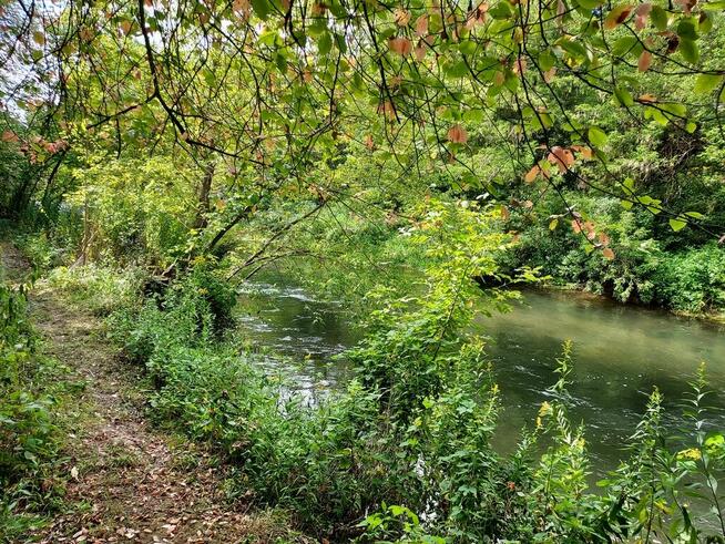 Działki nad rzeką – inwestycja/wypoczynek, Bałtów, Jura Park