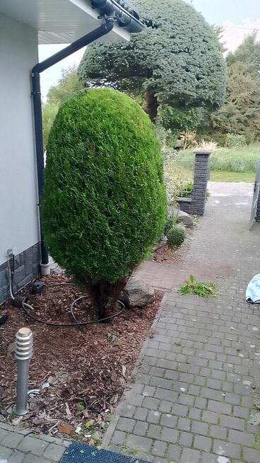 Pielęgnacja ogrodów