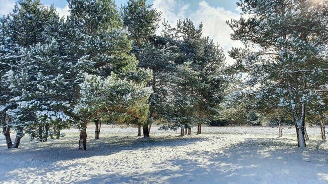 Działki nad rzeką – inwestycja/wypoczynek, Bałtów, Jura Park
