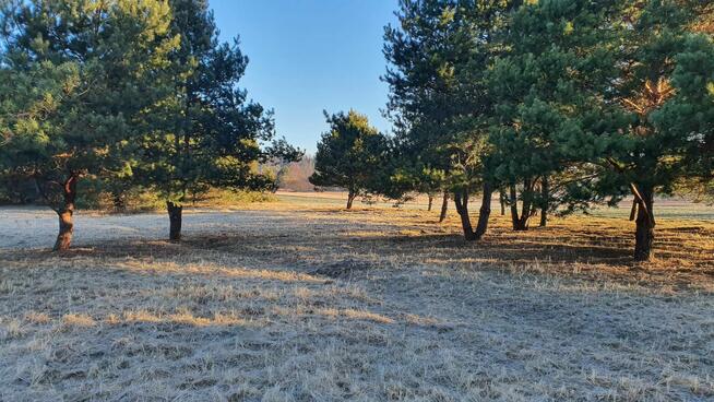 Działki nad rzeką – inwestycja/wypoczynek, Bałtów, Jura Park