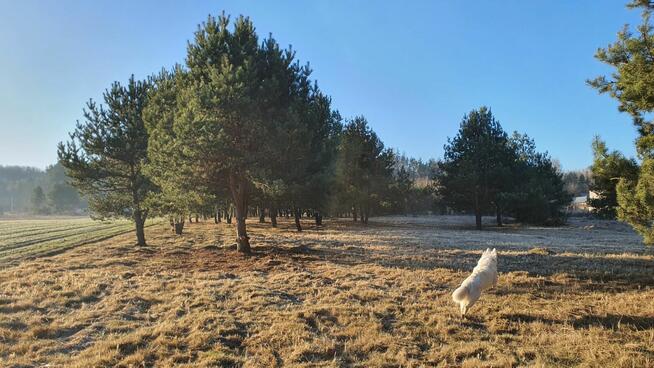 Działki nad rzeką – inwestycja/wypoczynek, Bałtów, Jura Park