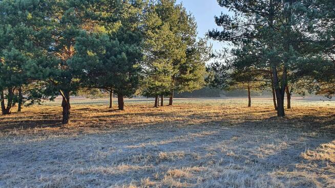 Działki nad rzeką – inwestycja/wypoczynek, Bałtów, Jura Park
