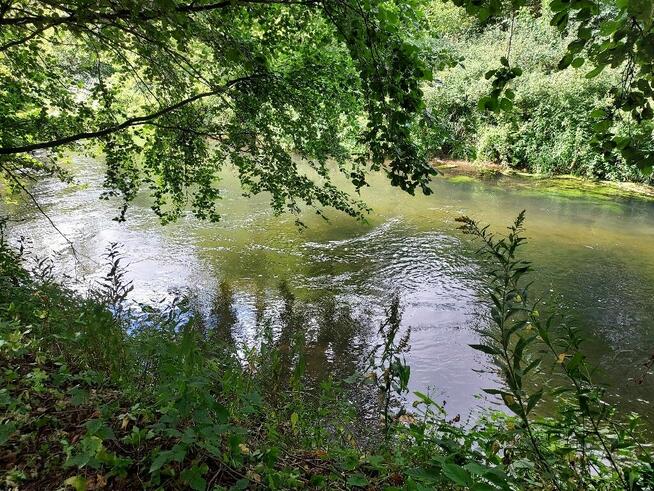 Działki nad rzeką – inwestycja/wypoczynek, Bałtów, Jura Park