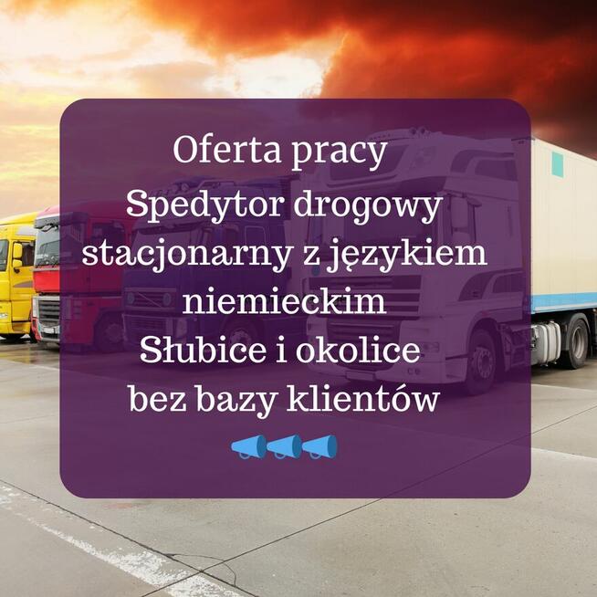 Spedytor drogowy z językiem niemieckim