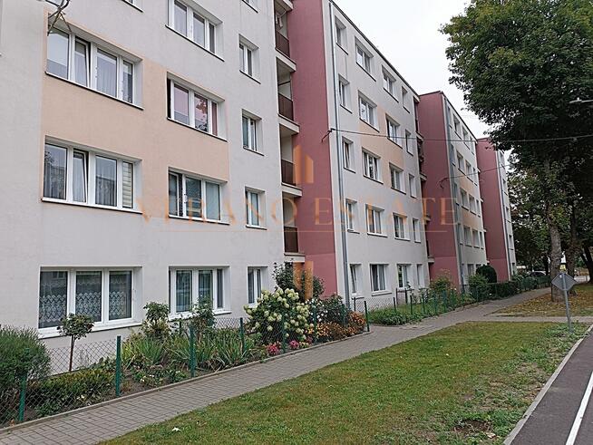 Mieszkanie z potencjałem I 3 pokoje I 45,58m2 I