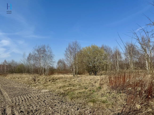 Działka inwestycyjna Nieborów, Wschodnia