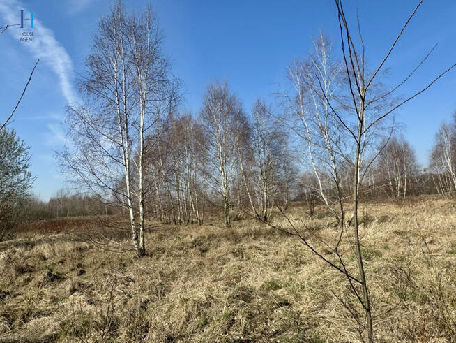 Działka inwestycyjna Nieborów, Wschodnia