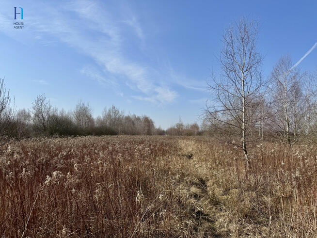 Działka inwestycyjna Nieborów, Wschodnia