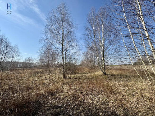 Działka inwestycyjna Nieborów, Wschodnia