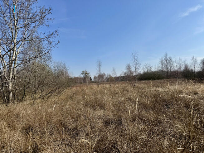 Działka inwestycyjna Nieborów, Wschodnia